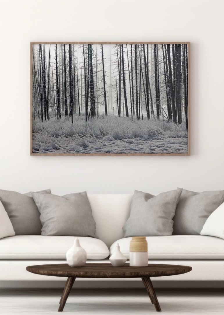 Frozen Forest