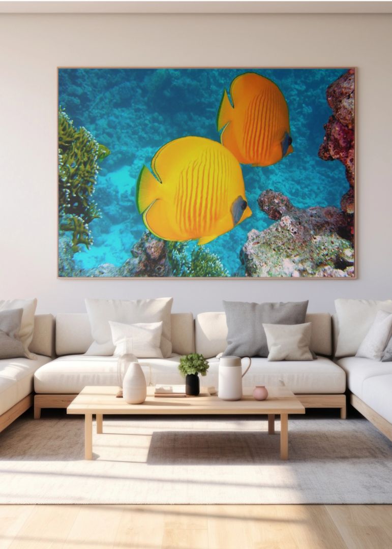 Summer Time Fish