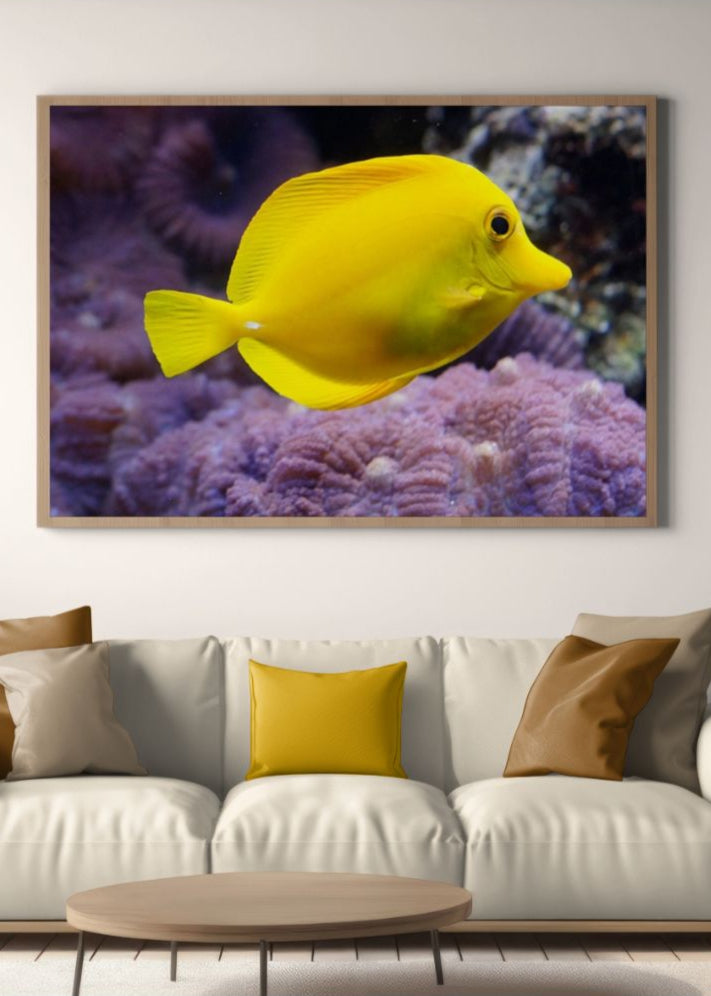 Sunshine Under the Sea