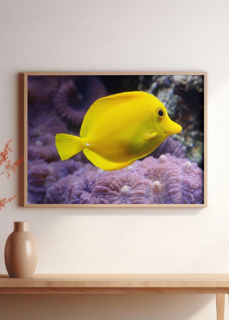 Sunshine Under the Sea