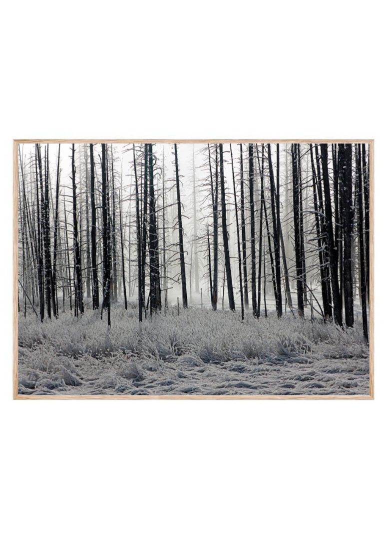 Frozen Forest