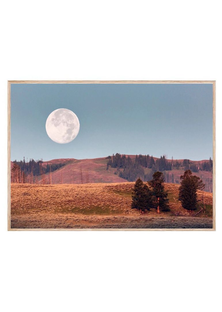 Moonset in the Valley