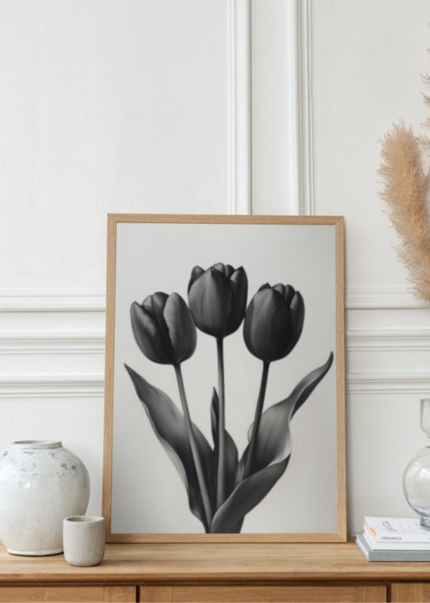 De sorte tulipaner