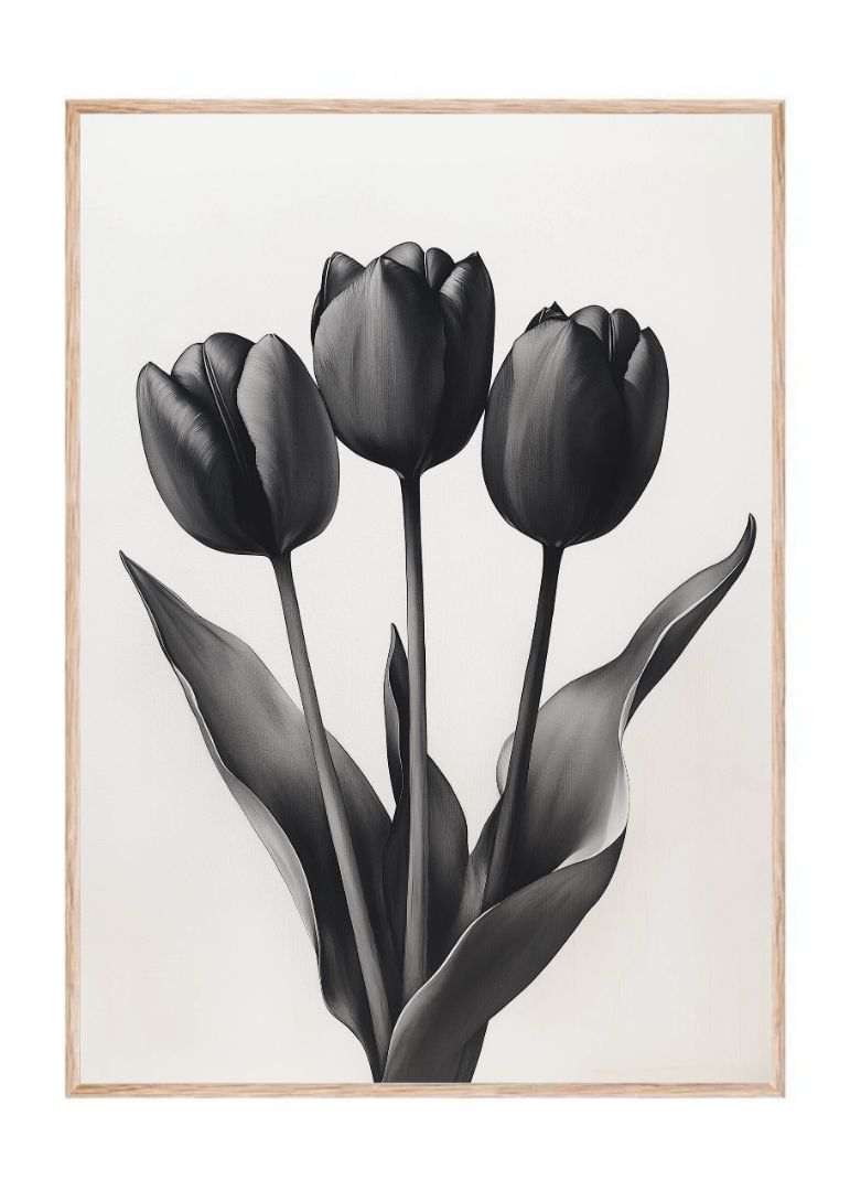 De sorte tulipaner