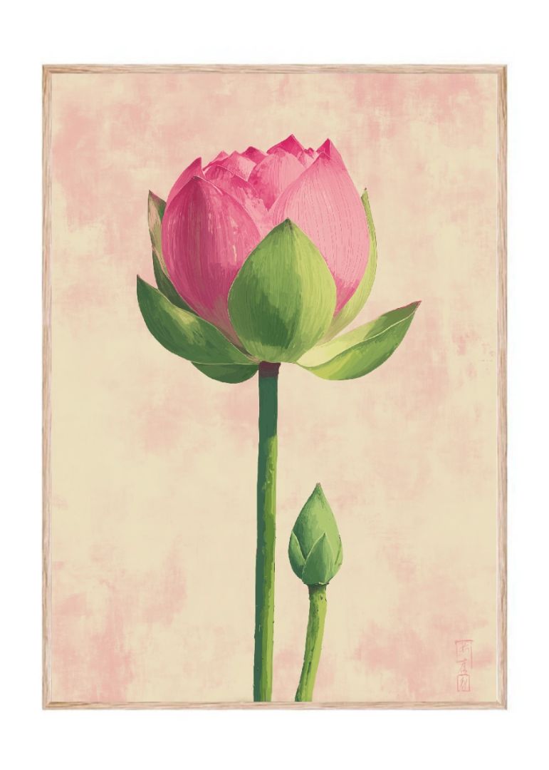 The pink lotus