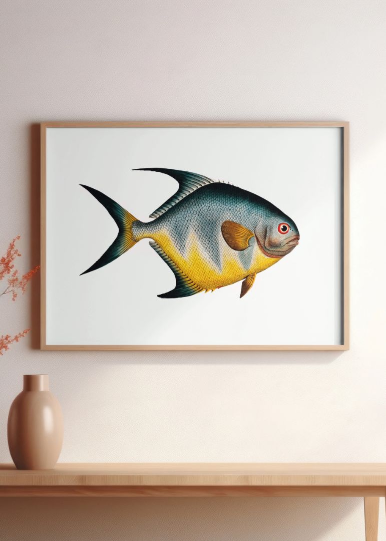 Chaetodon rhomboides