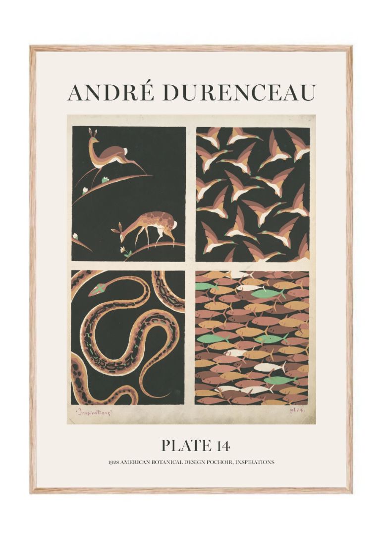 Andre Durenceau - Plate 14