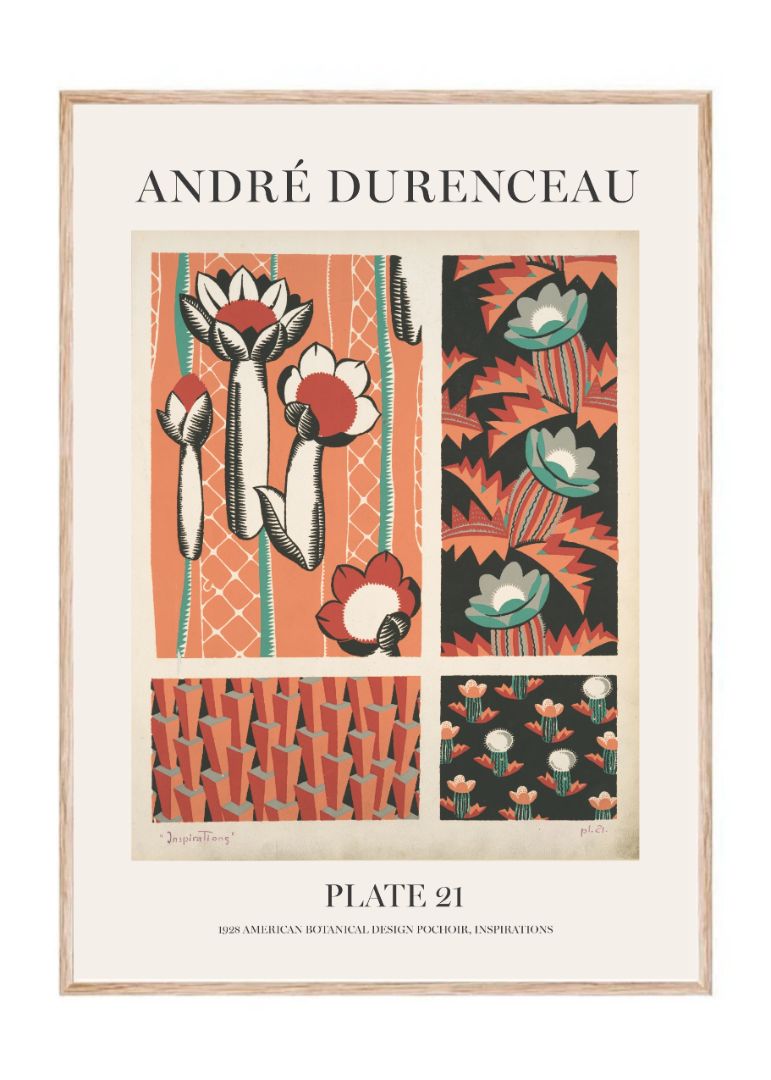 Andre Durenceau - Plate21