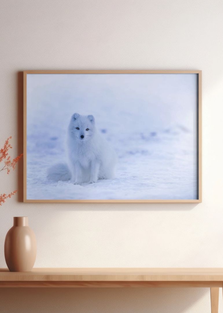 Arktisk ræv på Grønland