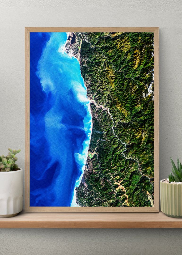 Redwood National Park