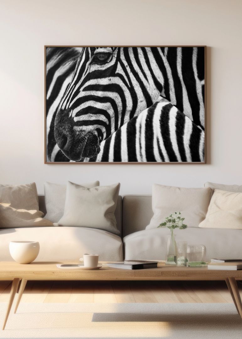Stribes in stribes zebra