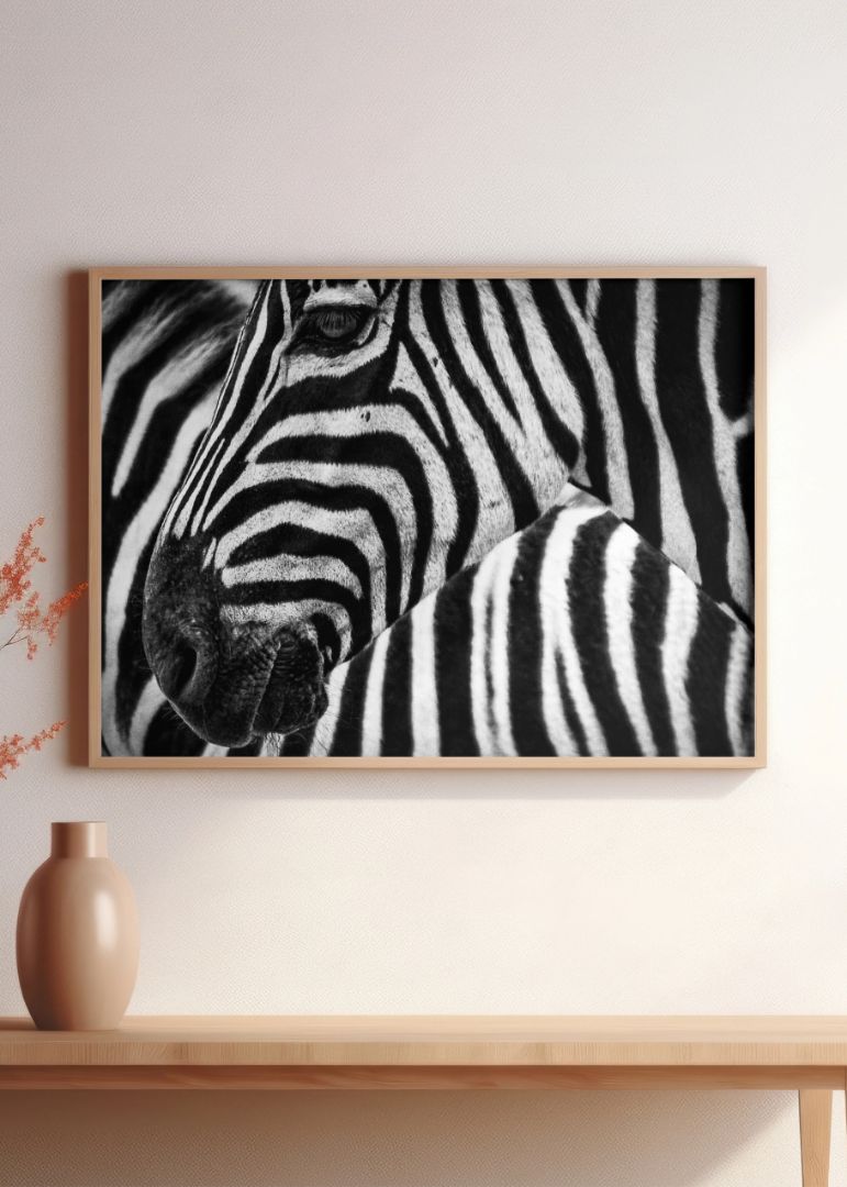 Stribes in stribes zebra