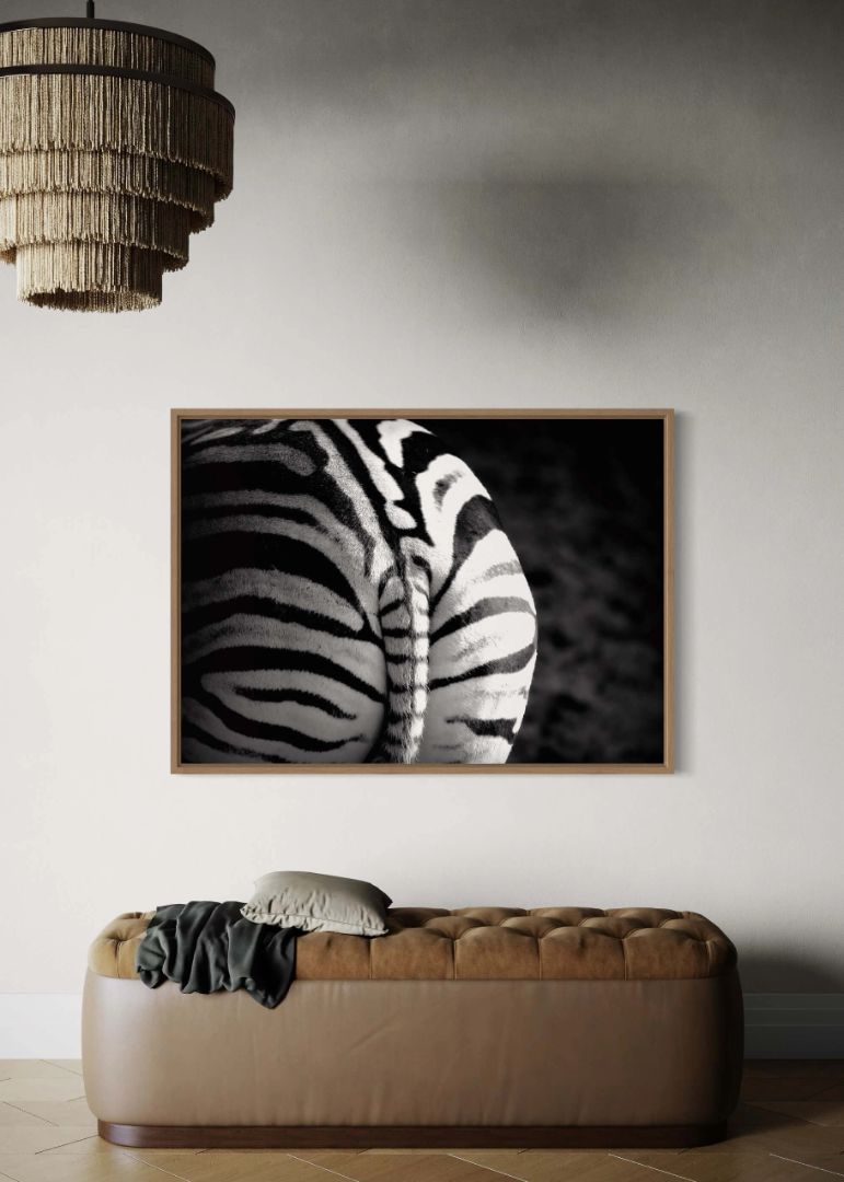 Zebra Elegance Billedvæg
