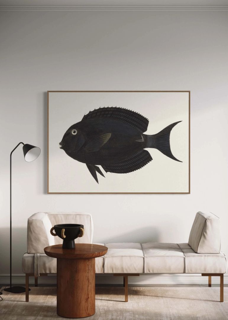Farverig Fiskebilledvæg