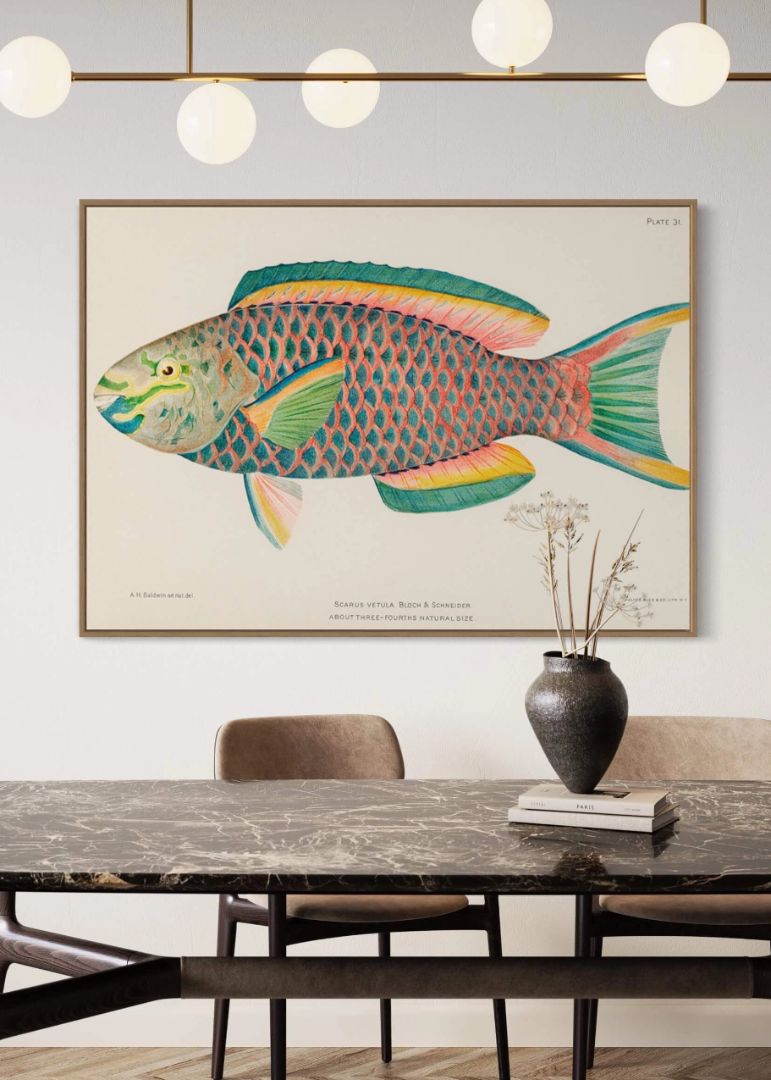 Farverig Fiskebilledvæg