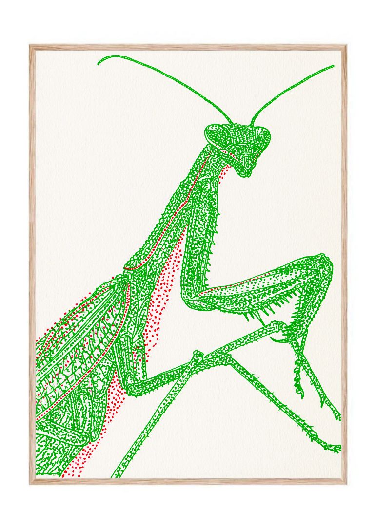 The Grasshopper