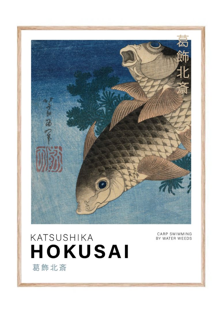 Carp Swimming by water weeds