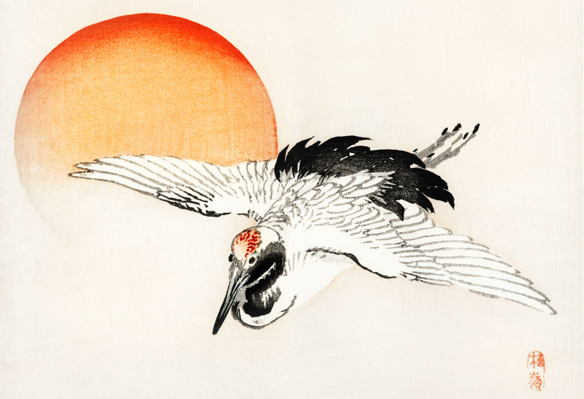 Plakaten "Den flyvende trane" fra Posters har en japansk illustration af en hvid trane med sorte vingespidser, der svæver foran en glødende rød-orange sol på en lys baggrund.