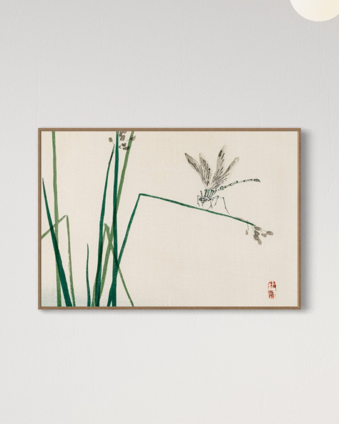 Dragonfly on Bulrush Leaf