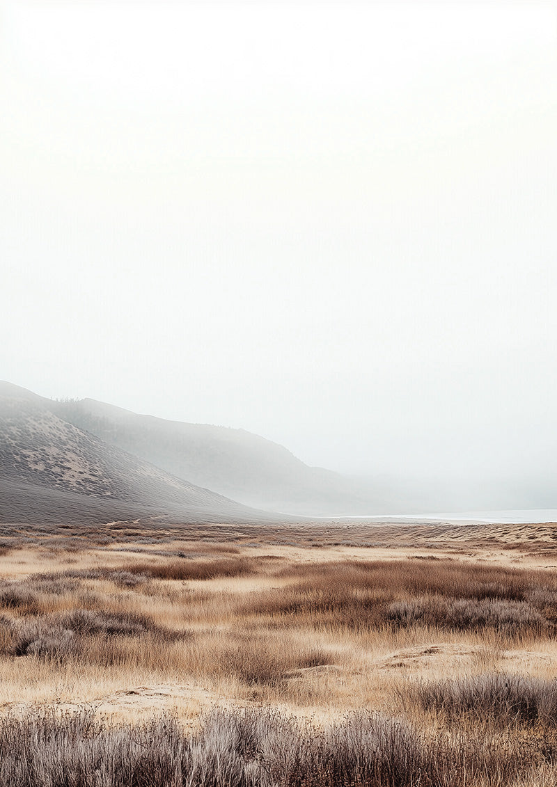 Dry wilderness