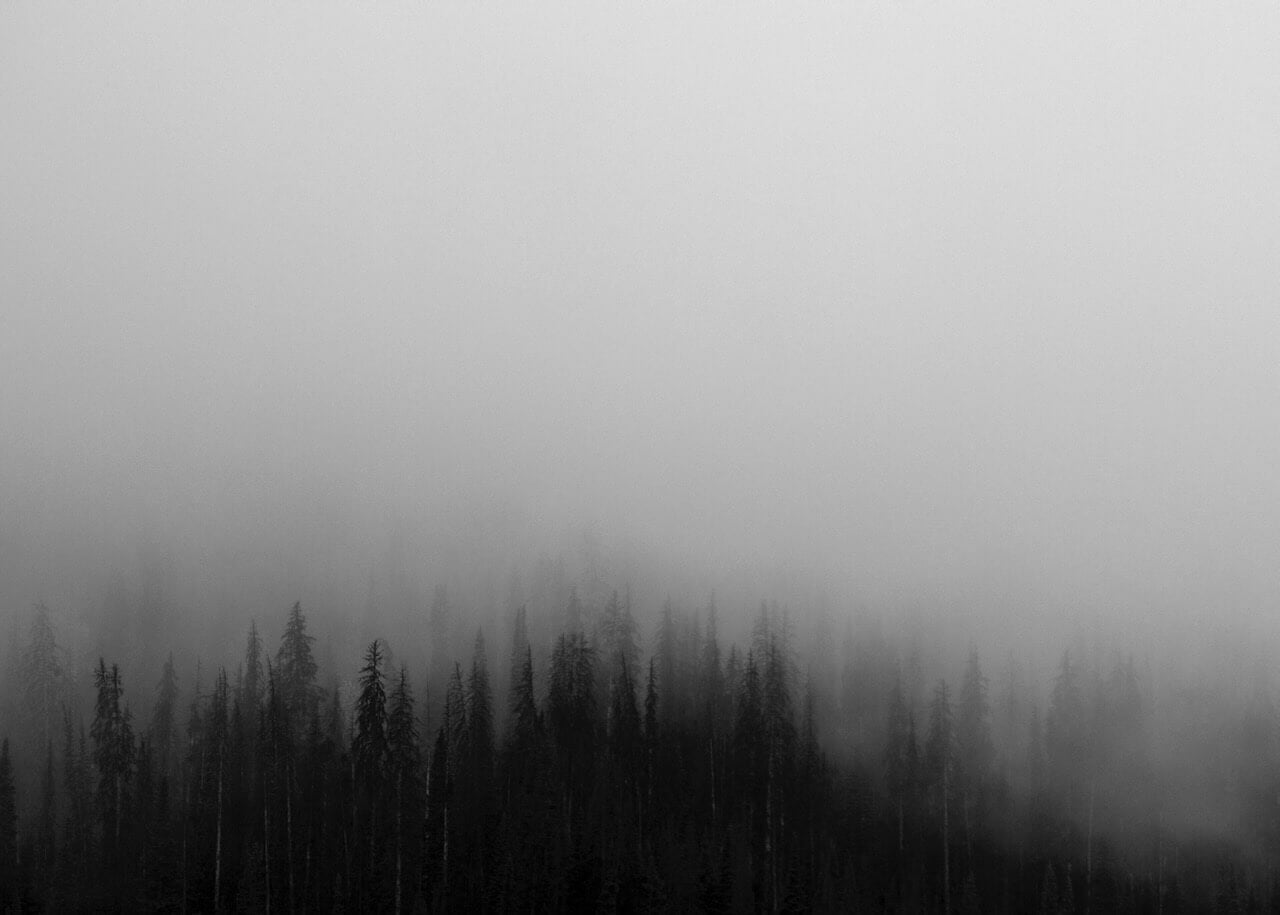 Falmende tåge