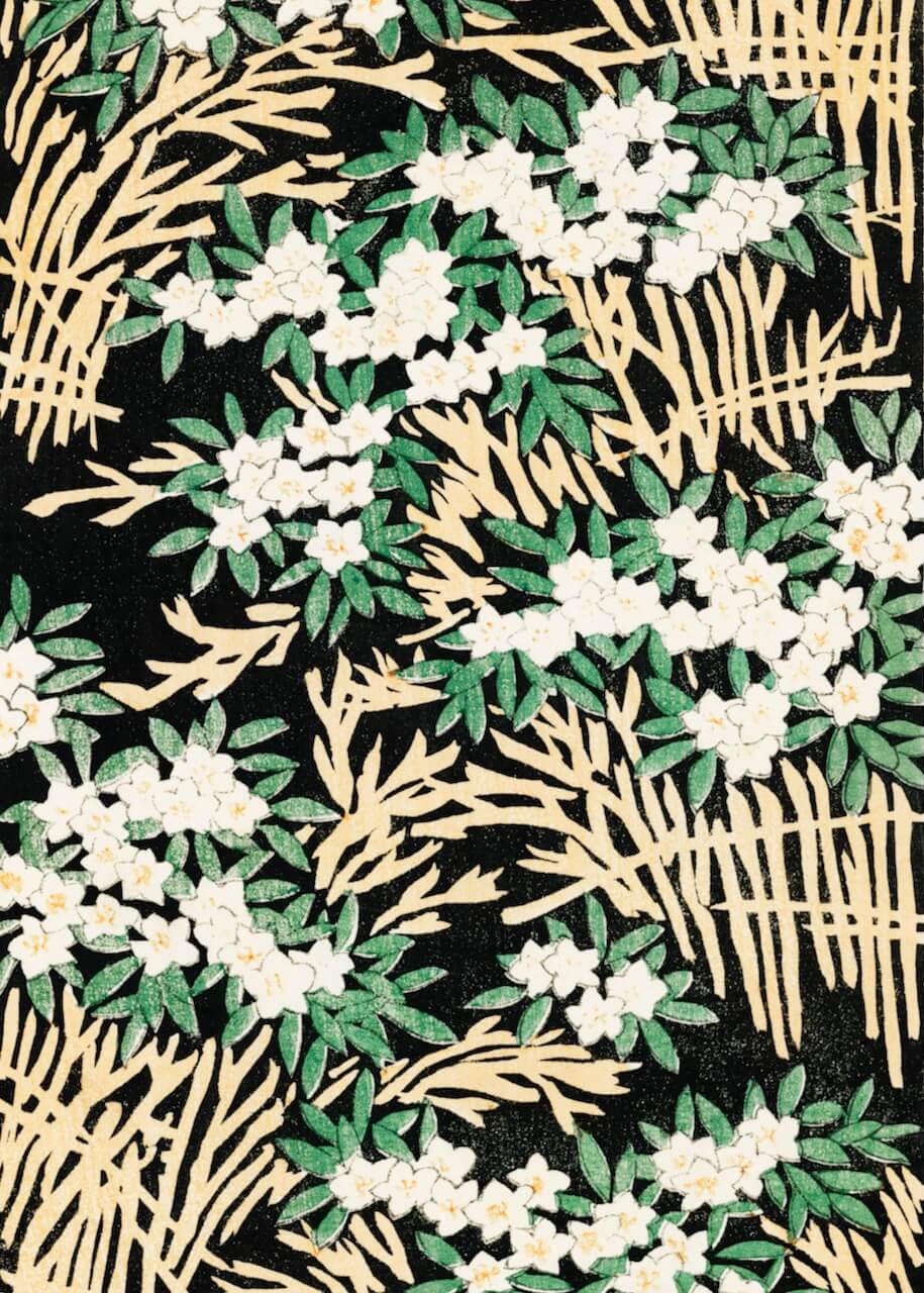 The Forest Illustration by Posters har hvide blomster med gule centre, grønne blade og beige strålignende linjer på en sort baggrund - et dynamisk botanisk mønster, der er ideelt til et naturinspireret plakat.