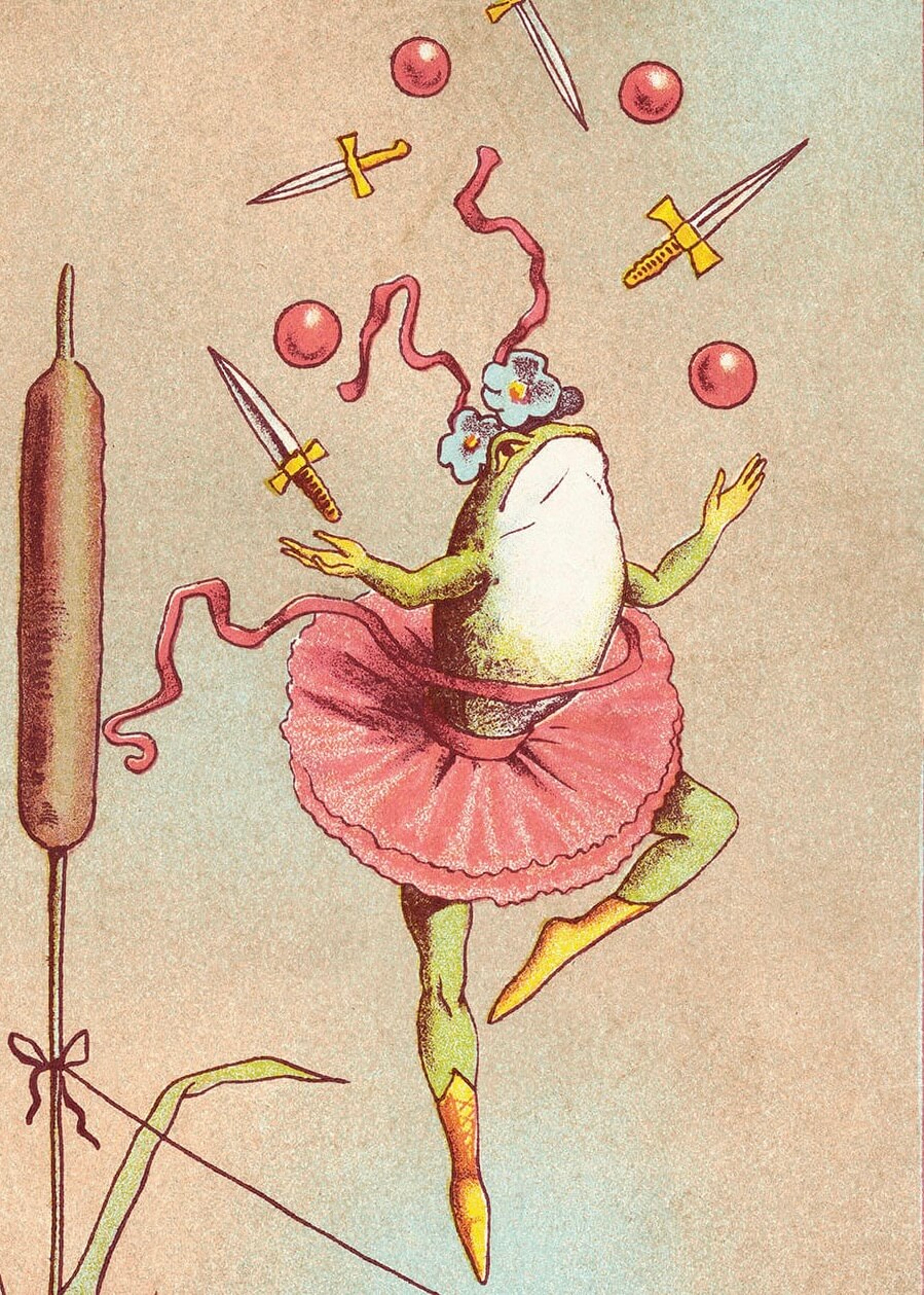 Frog Vintage Illustration - Tommelise