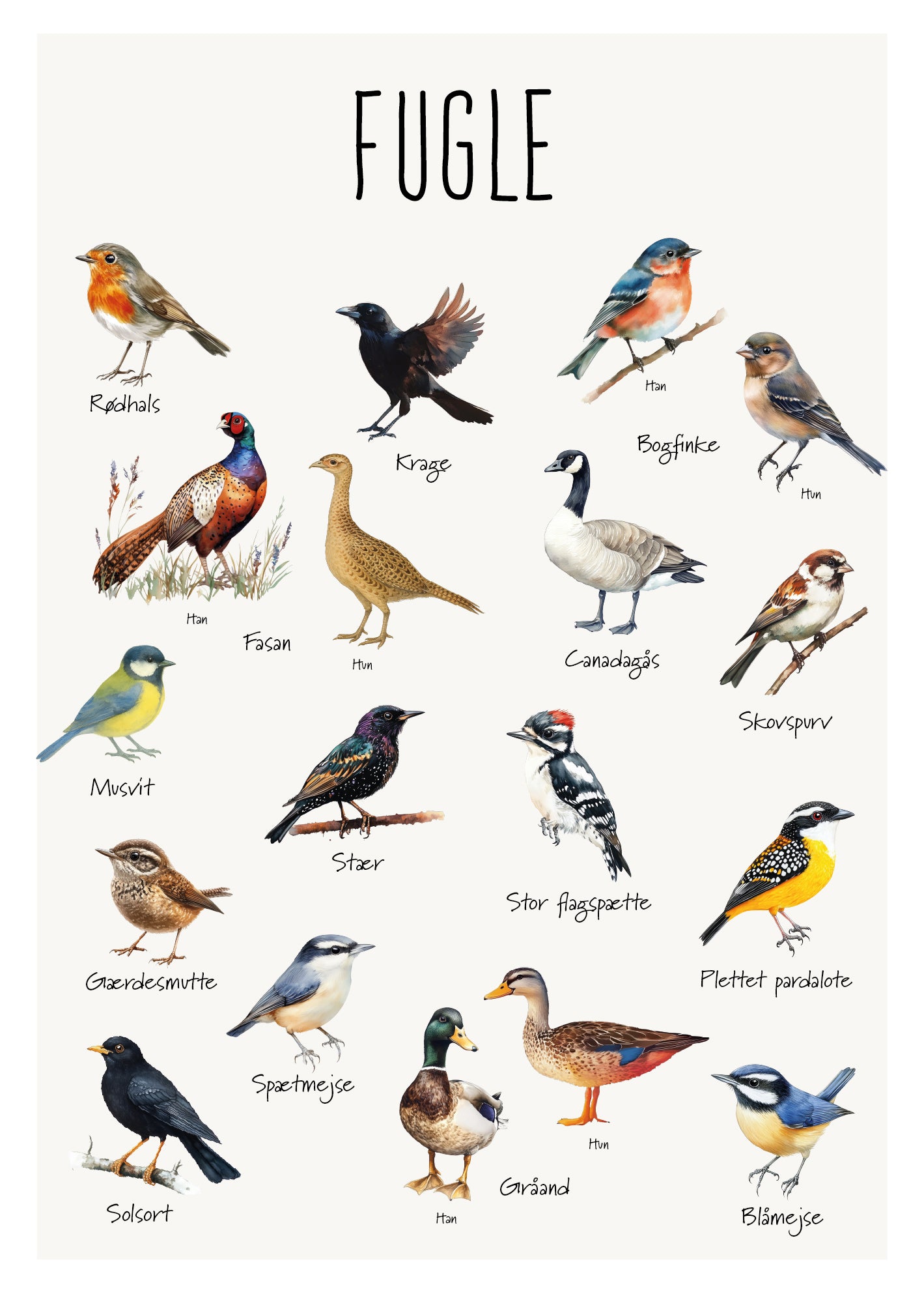 Fugleplakat Posters