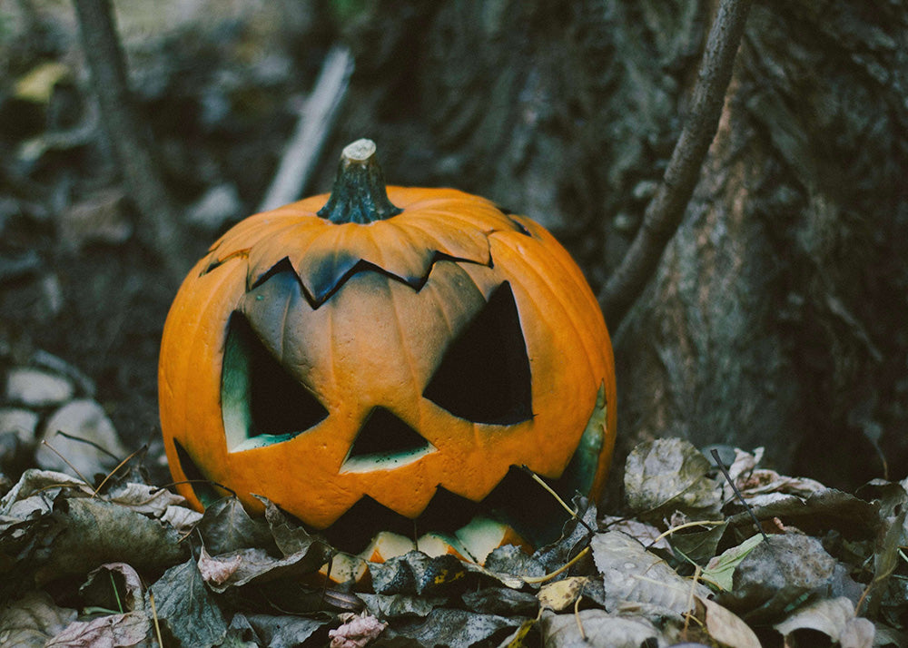 Græskarskræk" fra Posters viser en udskåret græskarlygte med et kantet, uhyggeligt ansigt blandt tørre blade, hvor de skarpe øjne og munden giver en uhyggelig Halloween-udsmykning.