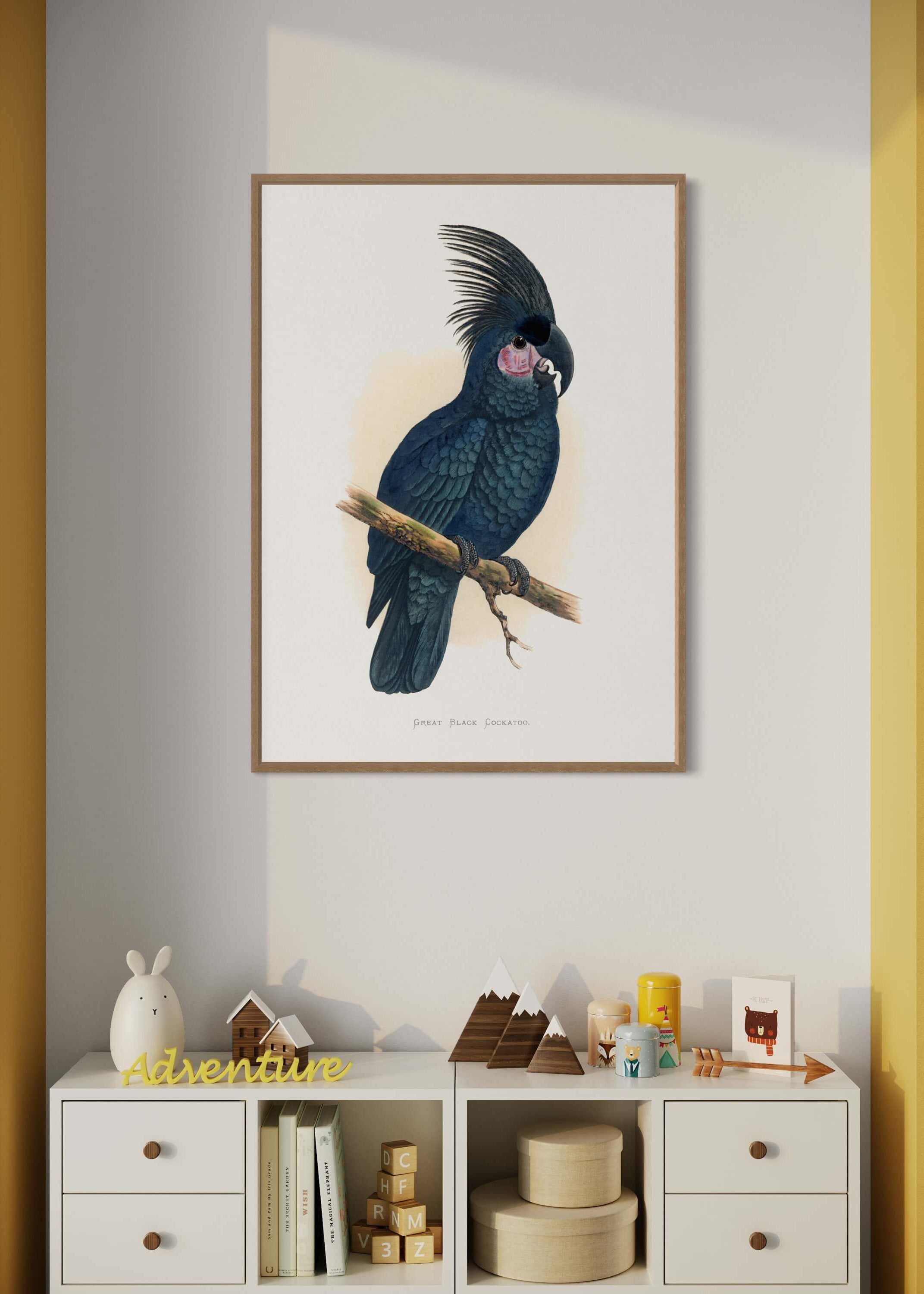 Great Black Cockatoo