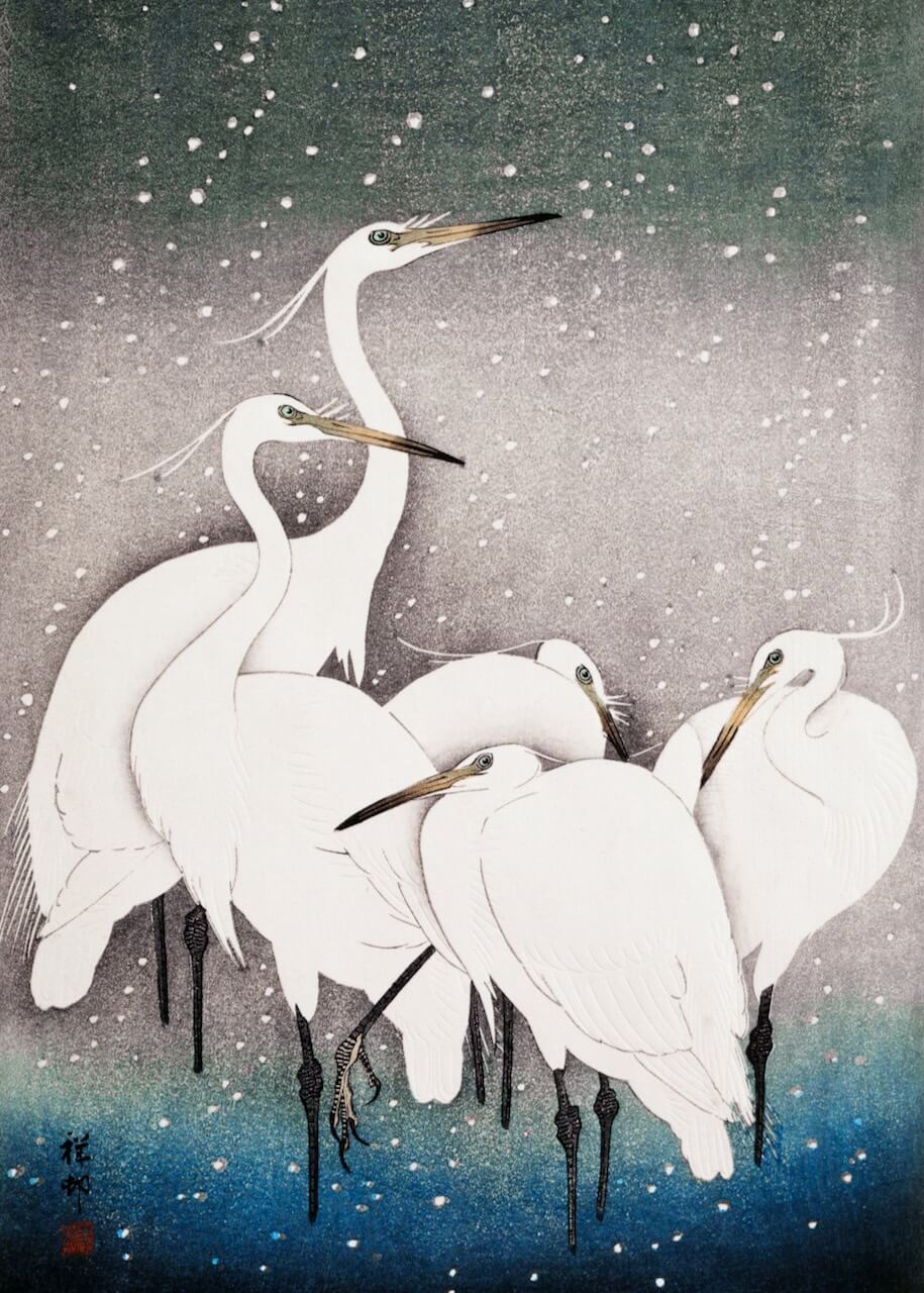 Group of Egrets by Posters viser fem hvide hejrer, der står sammen på slanke sorte ben midt i faldende sne og en gradientbaggrund, der fremkalder en fredfyldt japansk kunststil og et beroligende vinterlandskab.