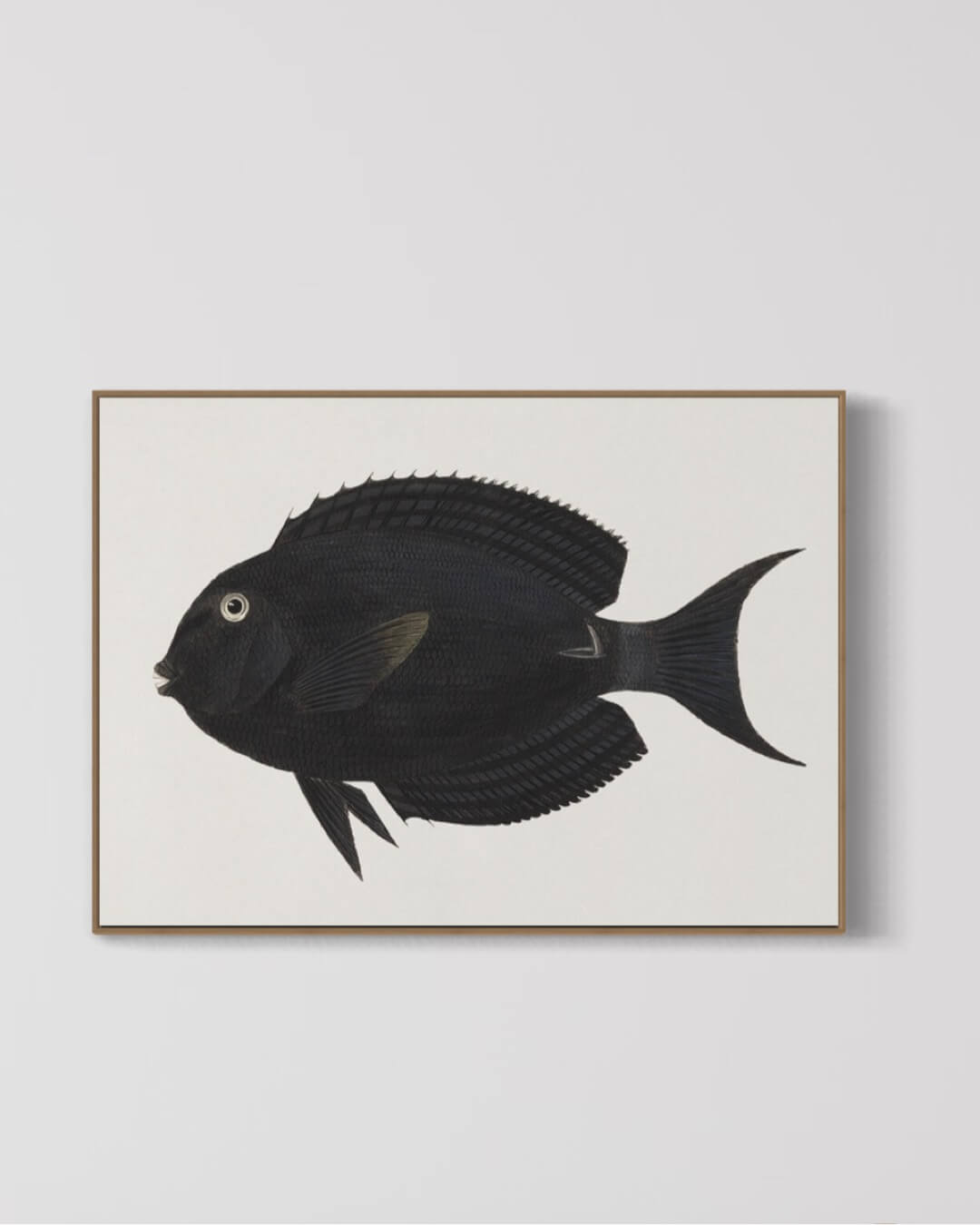 Black Fish