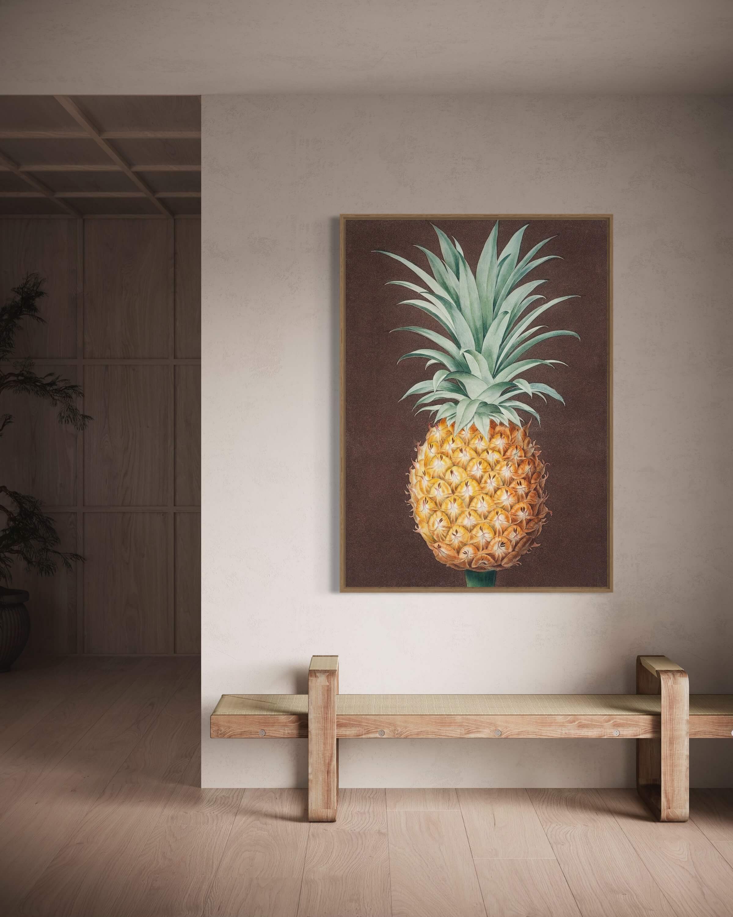 Ananas fra Antigua