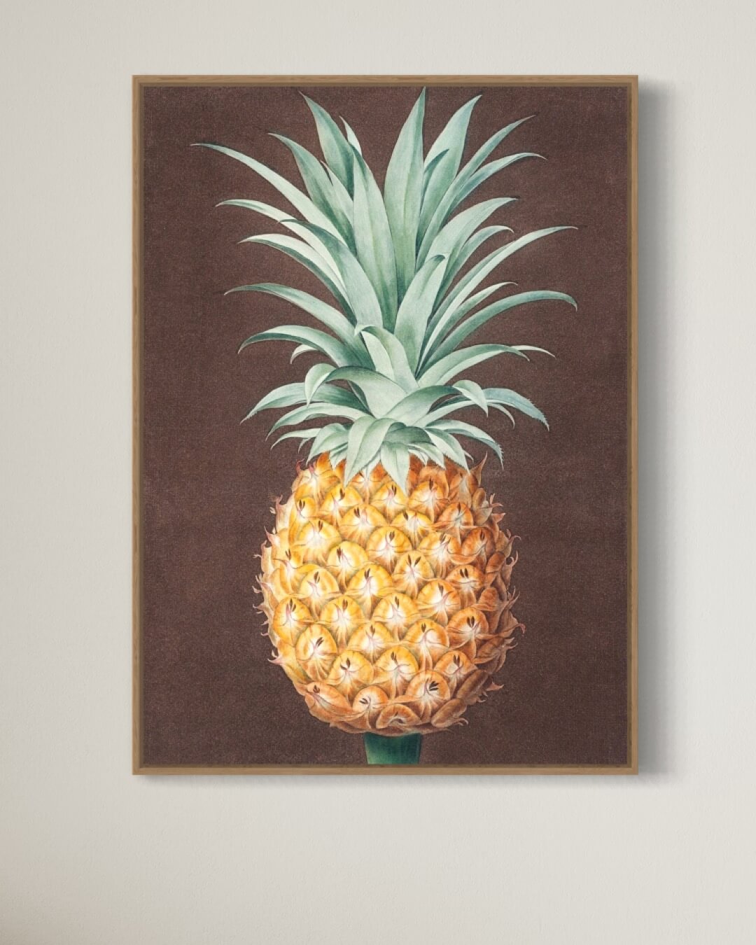 Ananas fra Antigua