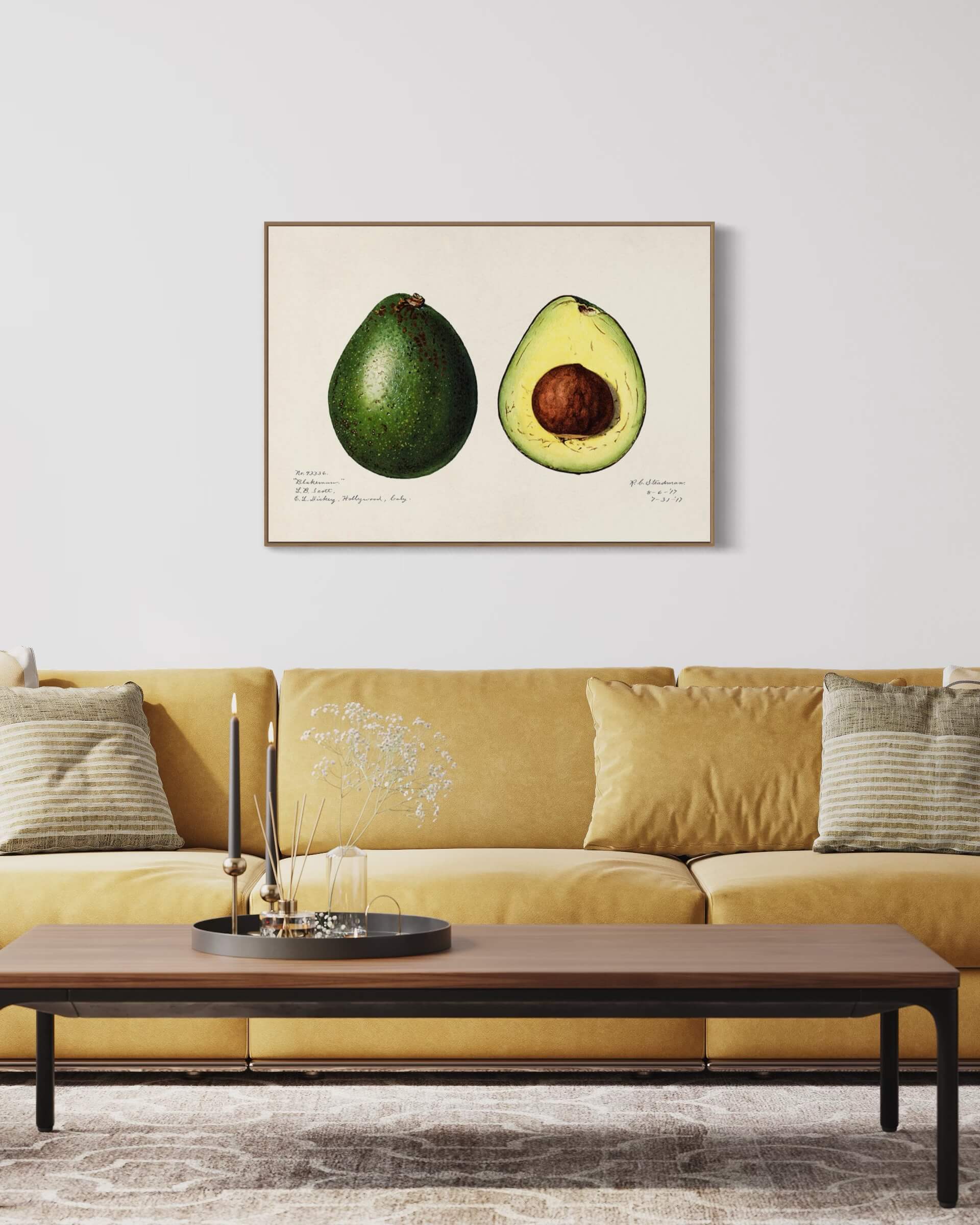 Avokado - illustration