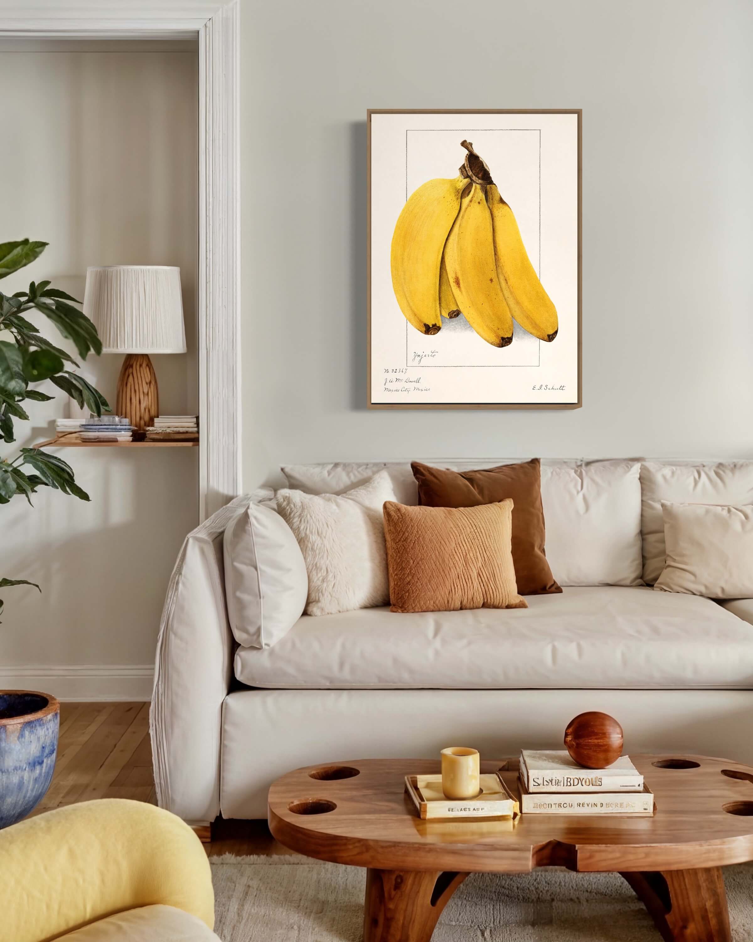 Bananklase - Illustration