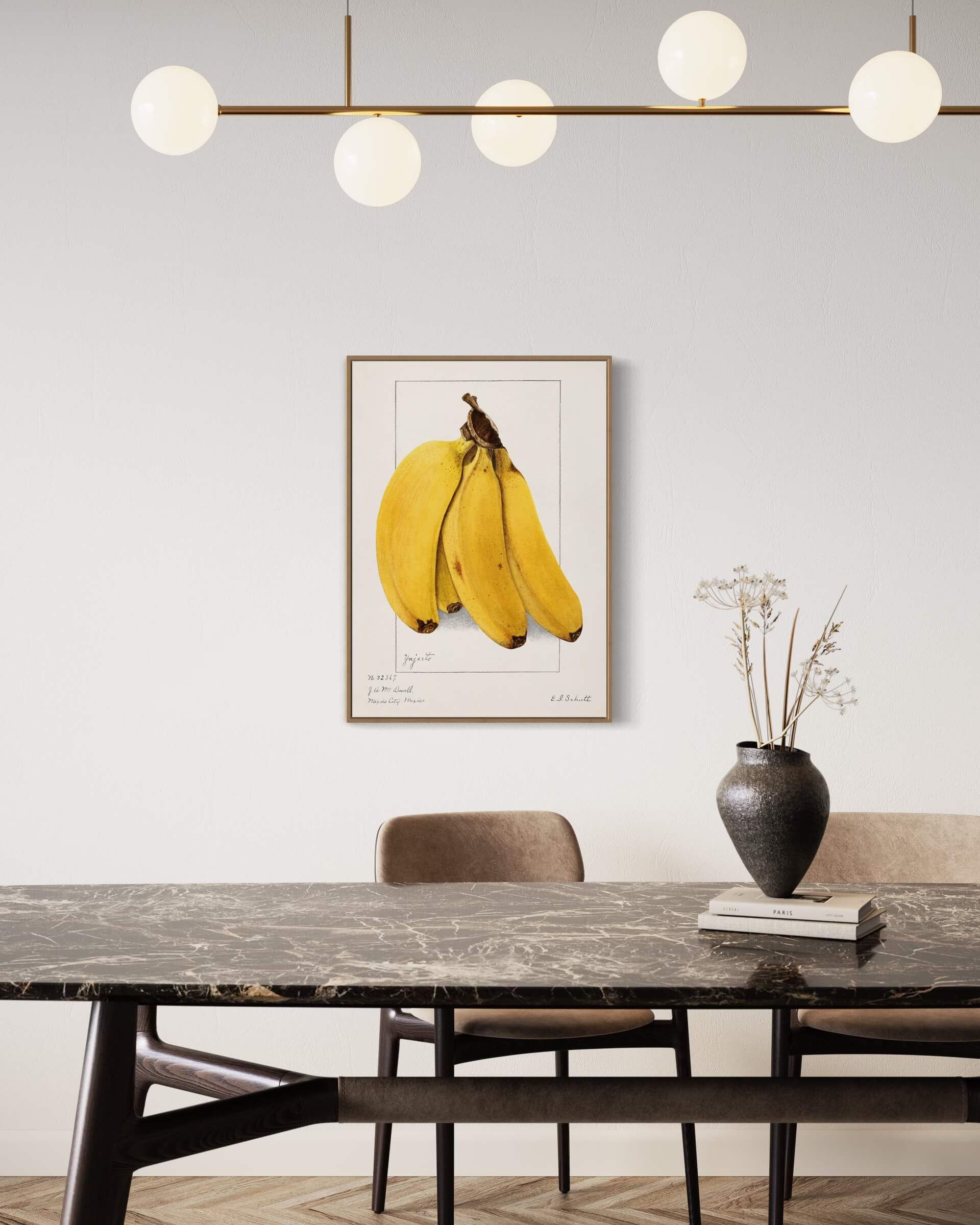 Bananklase - Illustration