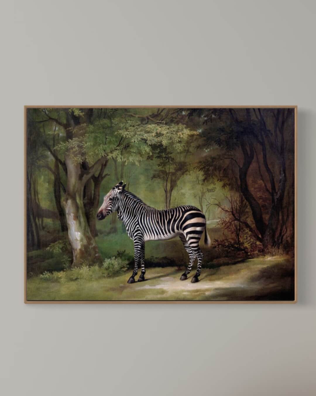 Zebra i skoven