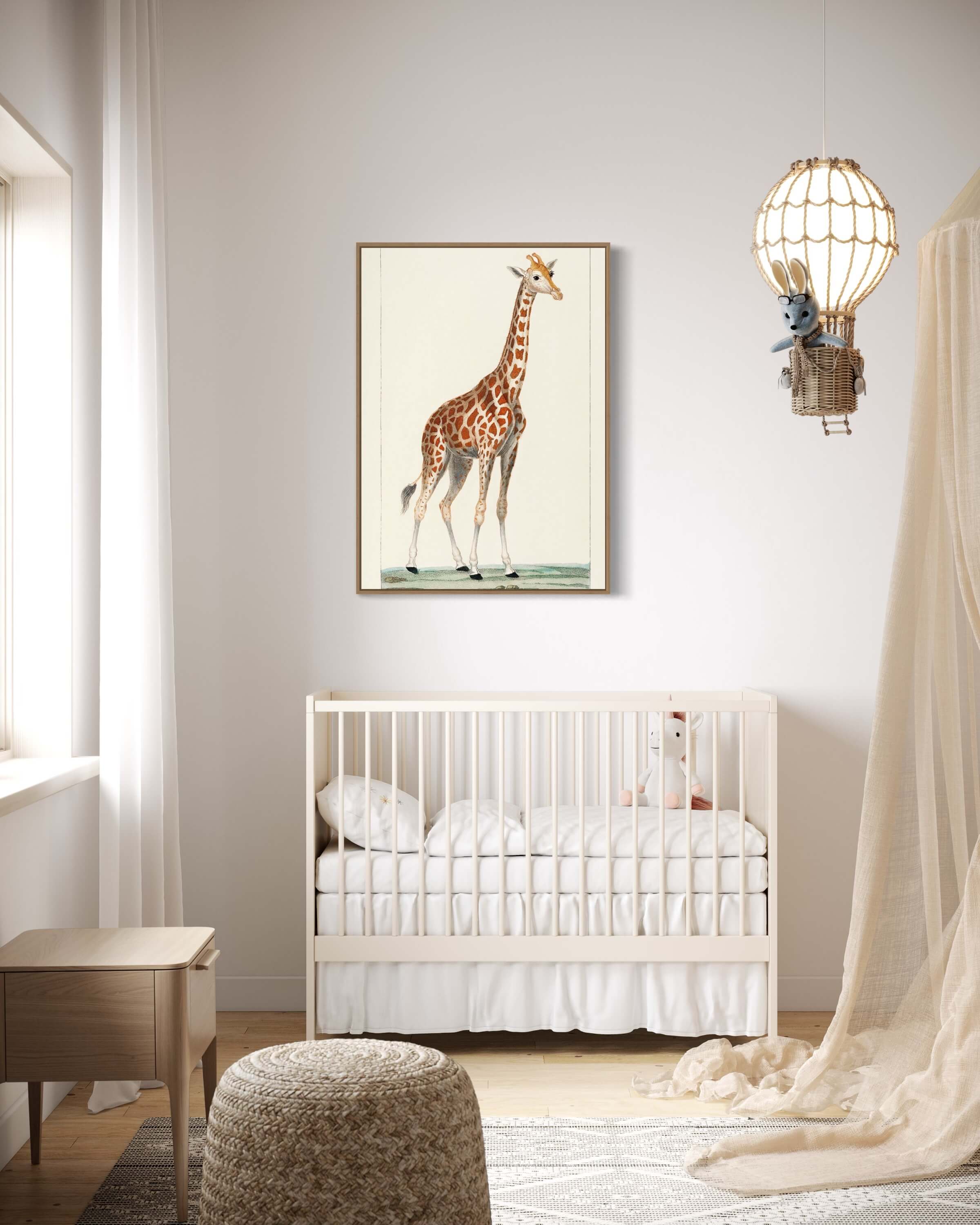 Giraffen - illustreret