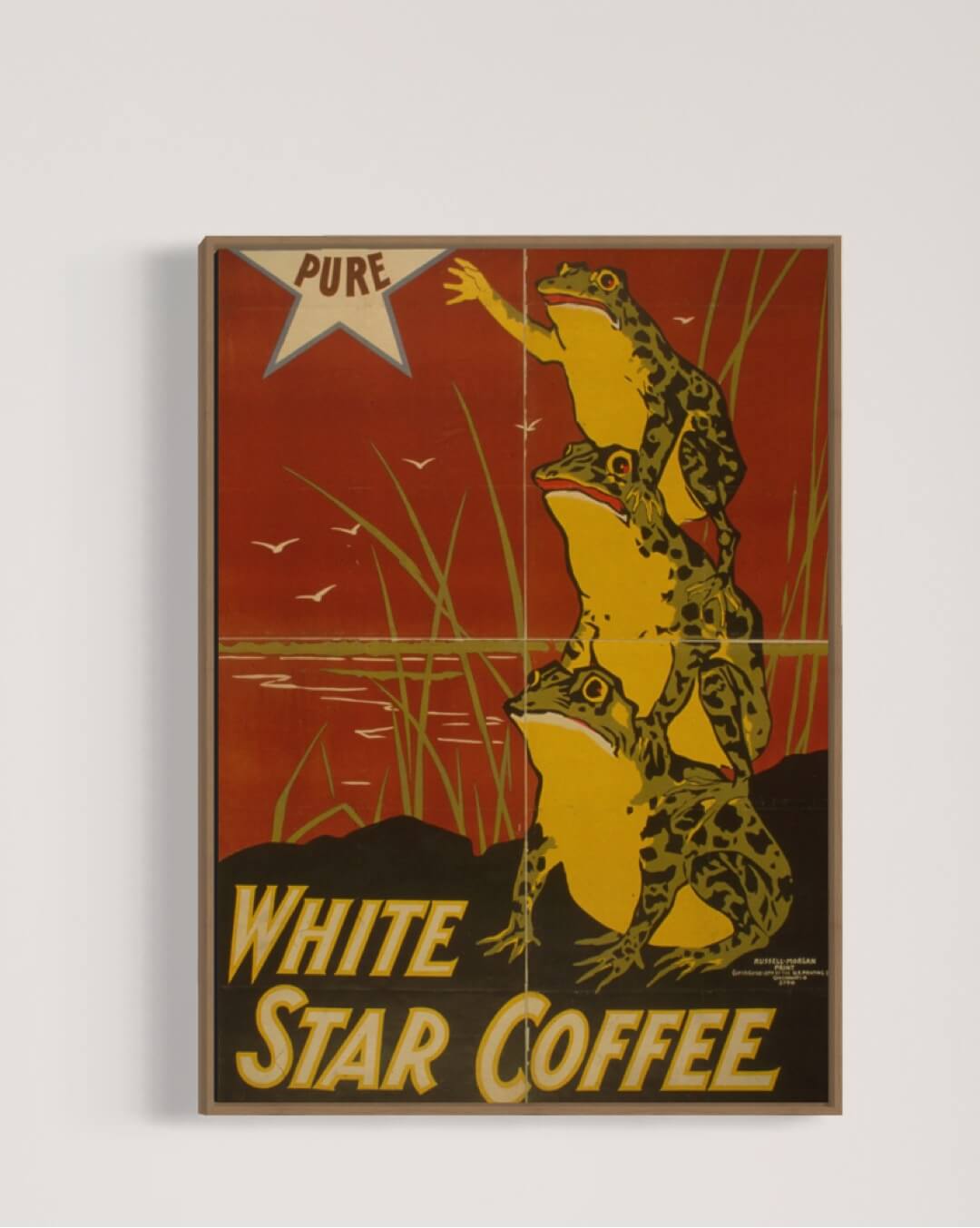 White star coffee