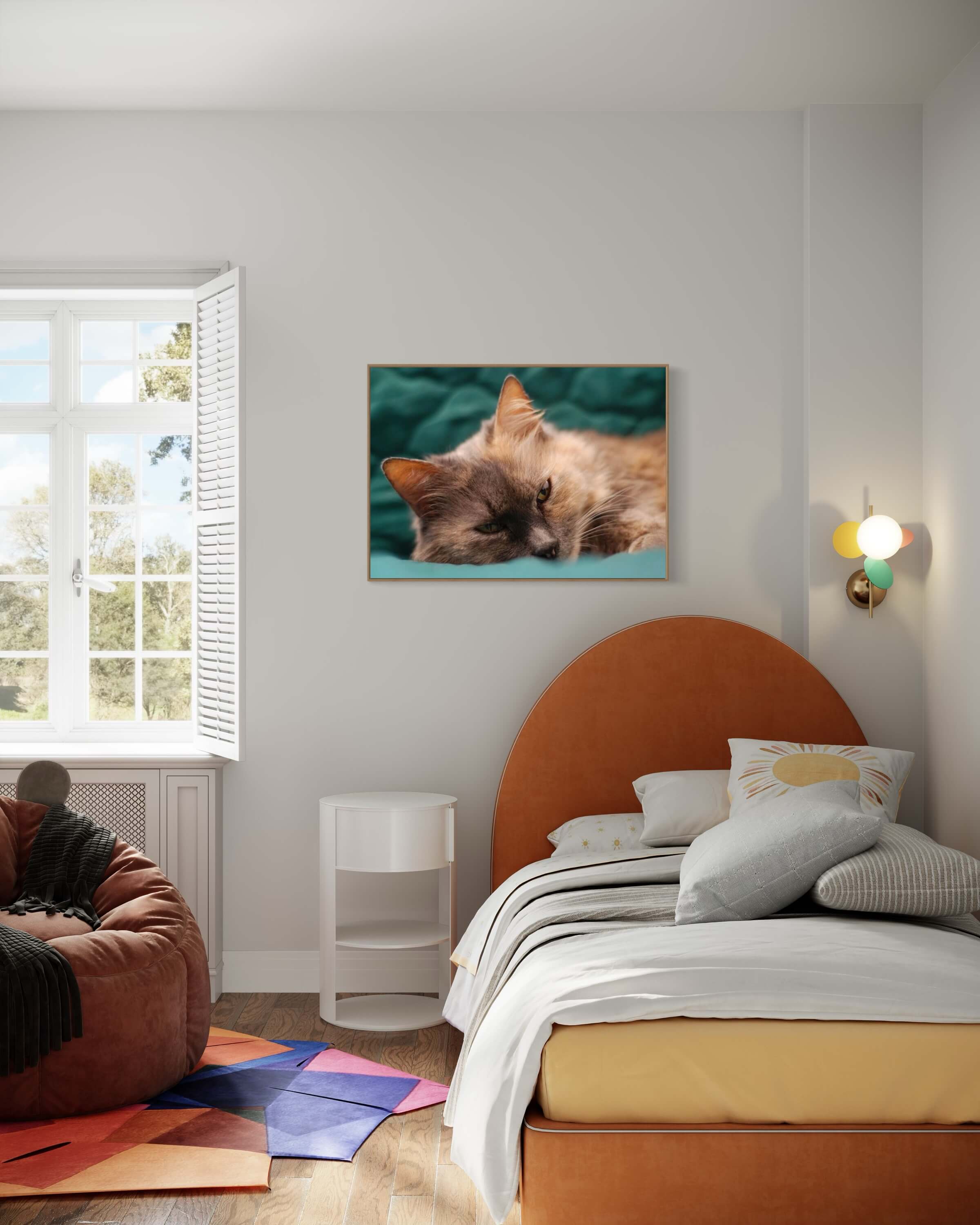 Missekat på turkis tæppe