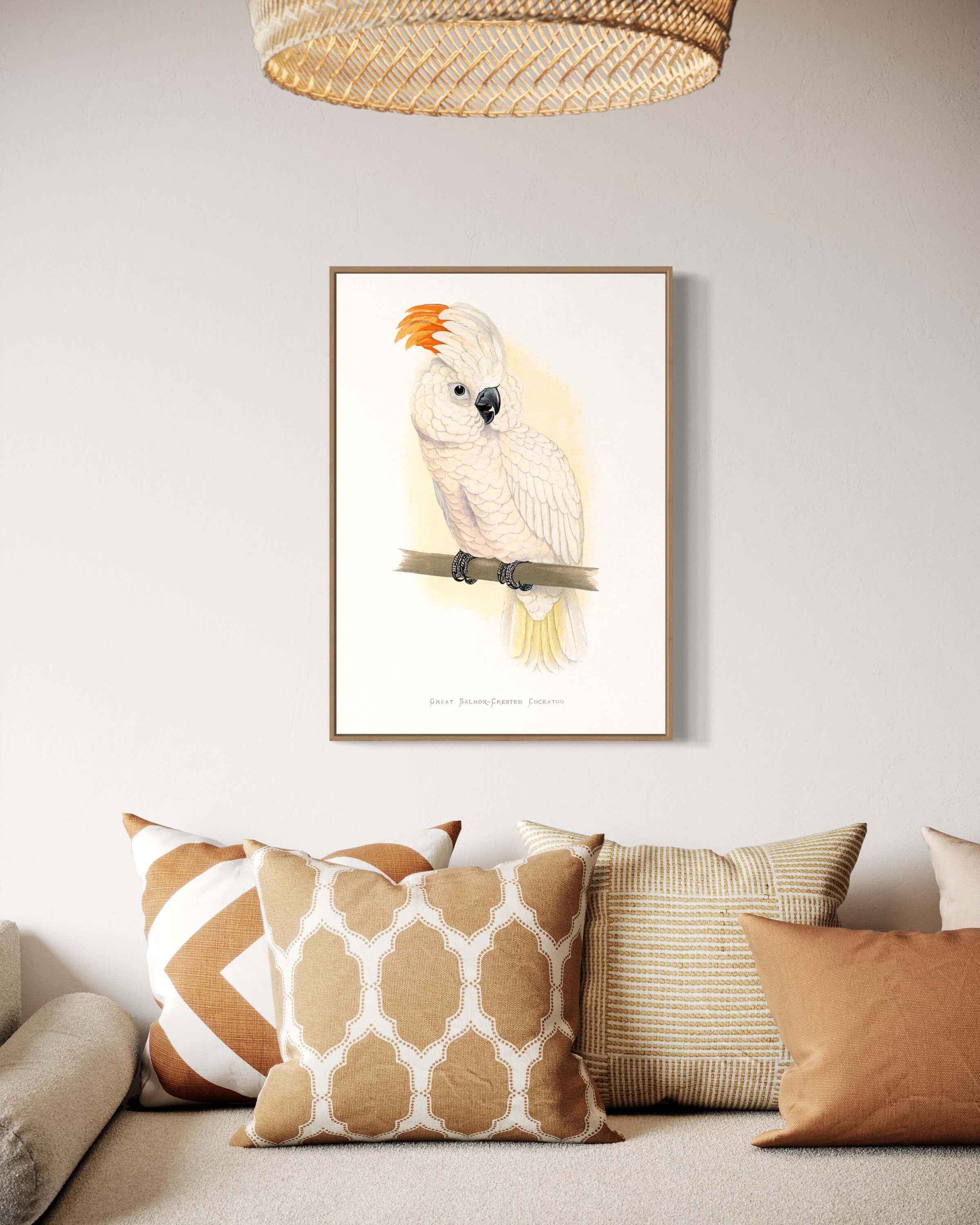 Salomon crested cockatoo