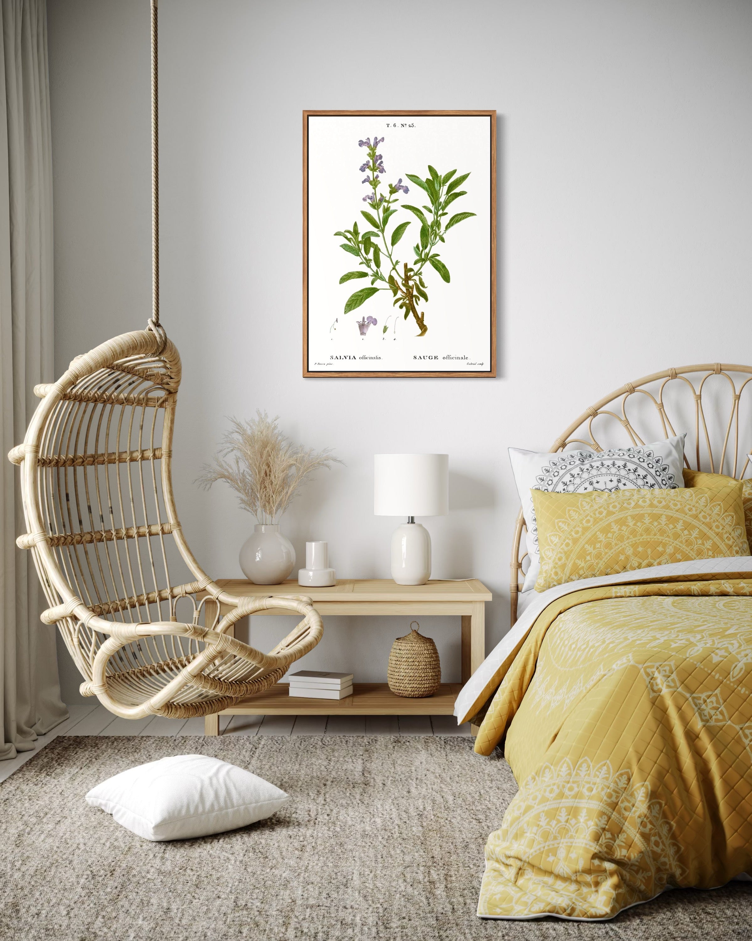 Salvie medicinsk illustration