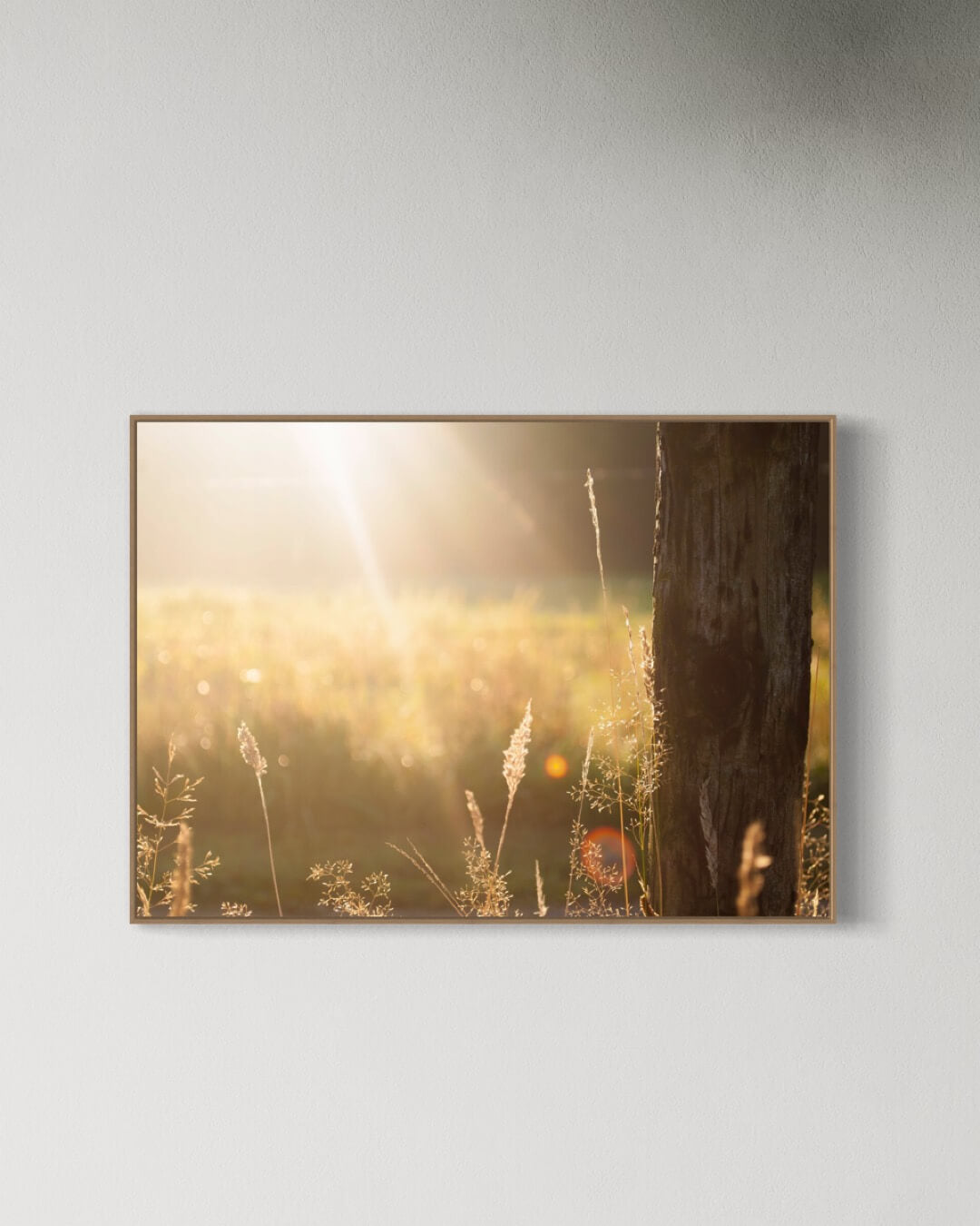 Strålerne når frem