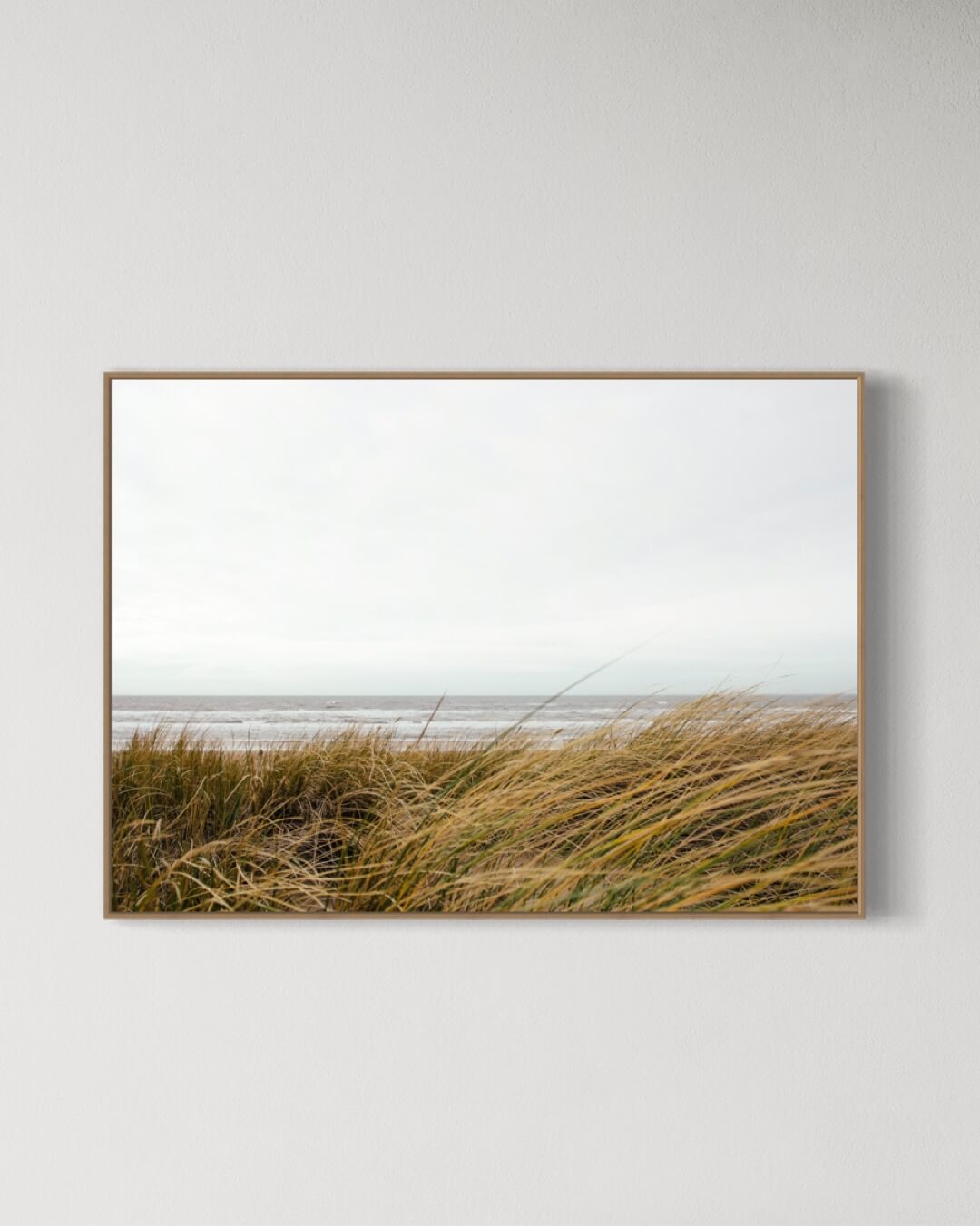 Strandgræs