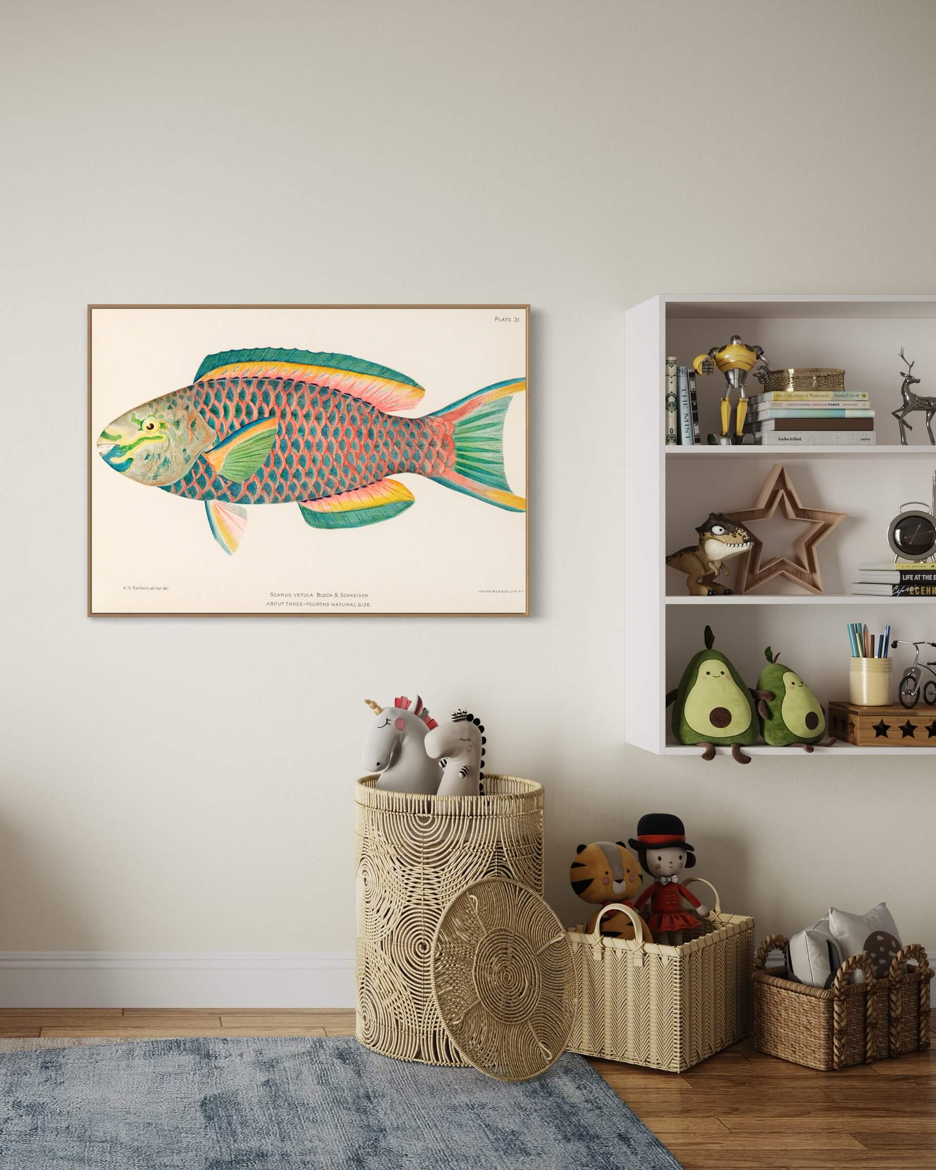 Queen Parrot fish