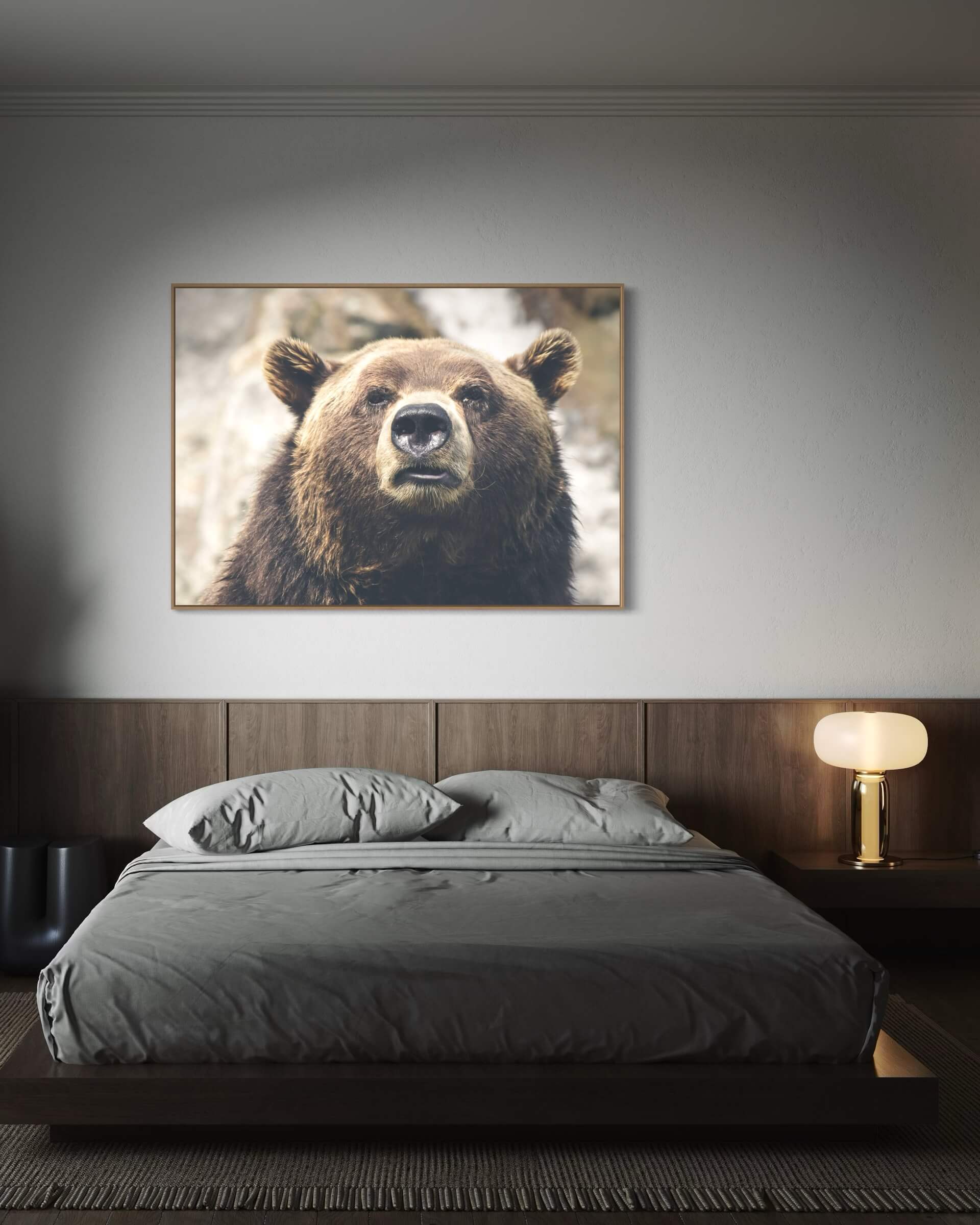 Wild bear