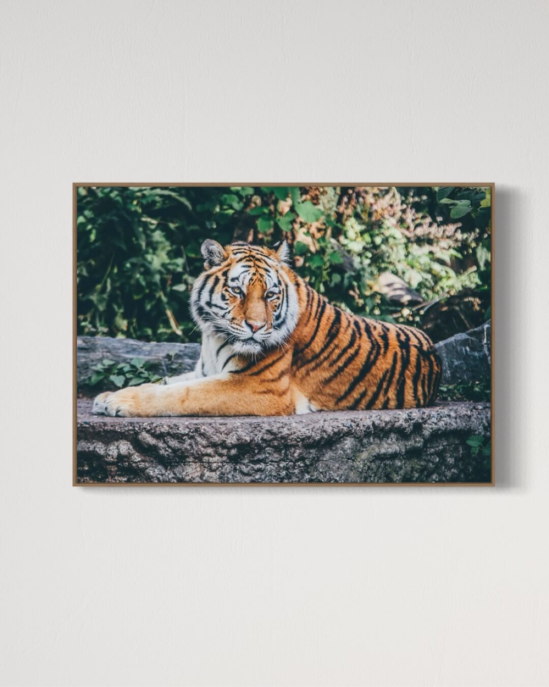 The Tiger