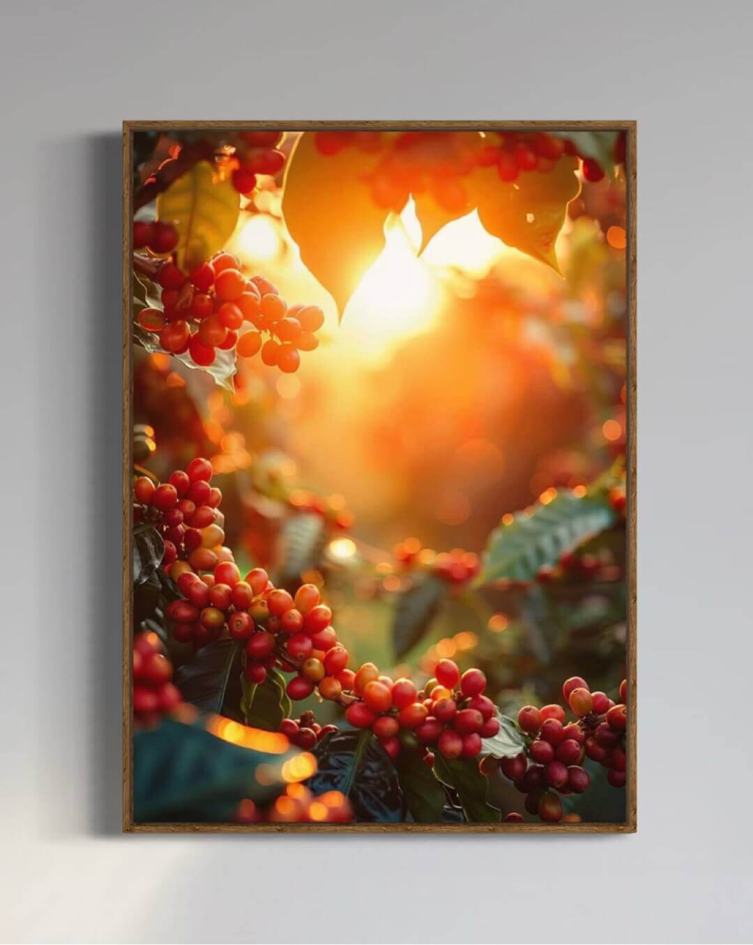 Solopgang på kaffefarmen