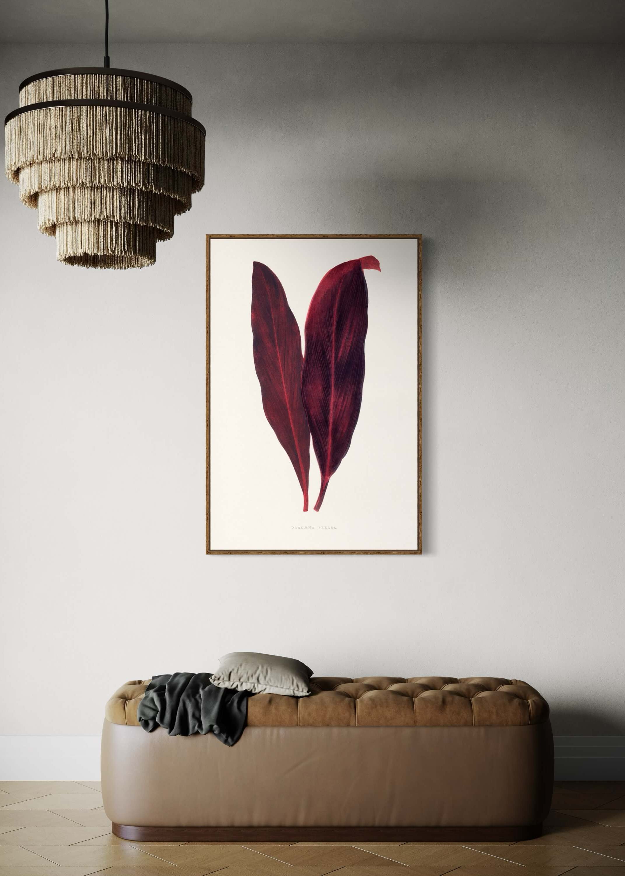 Pink Dracaena Ferrea leaf illustration